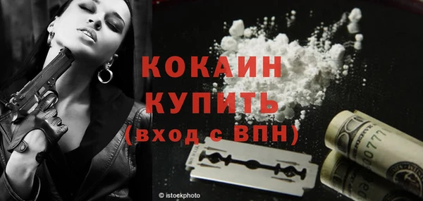 прущие грибы Абинск