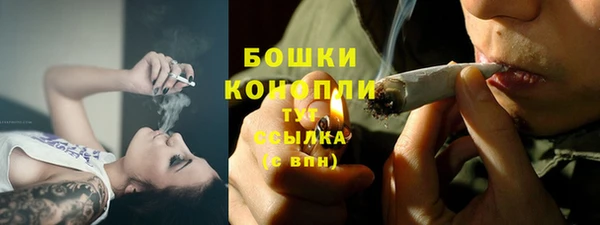 прущие грибы Абинск