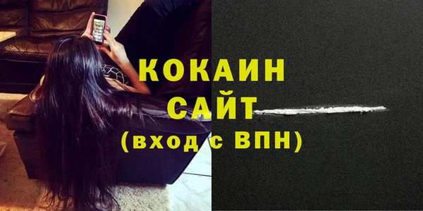 шишки Аксай