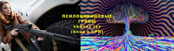2c-b Абаза