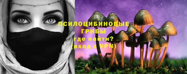прущие грибы Абинск